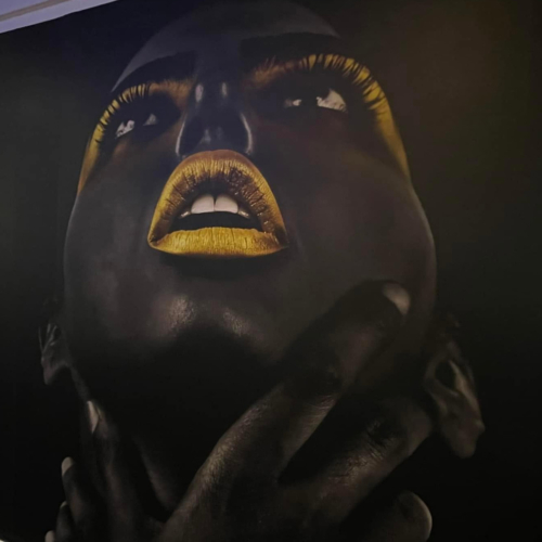 portfolio_wallmurallady